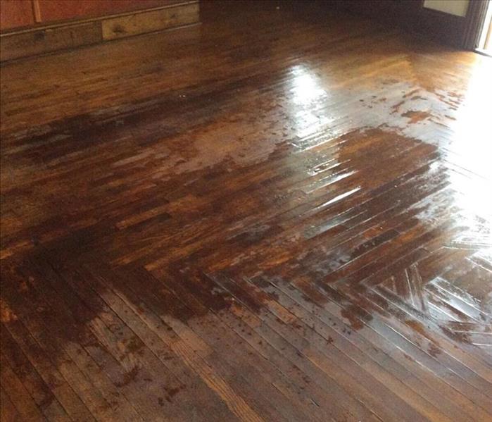 Wet spots on hardwood floor